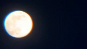 Розовая Луна 2019