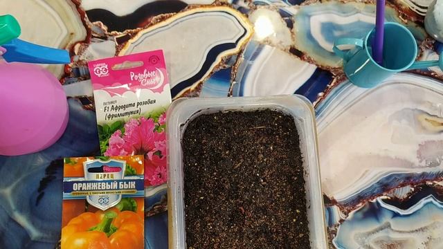 Посев петунии Розовая Афродита. Перец сладкий Оранжевый бык смотреть онлайн