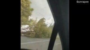На Болгарию страшный шторм обрушился на город Бургаса вырывал деревья, обрушил крыши и затопил улиц