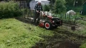 Седераты: косим и запахиваем!