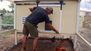 Building a DIY Chicken Coop Part 4 - Automatic Door & The Coop Floor