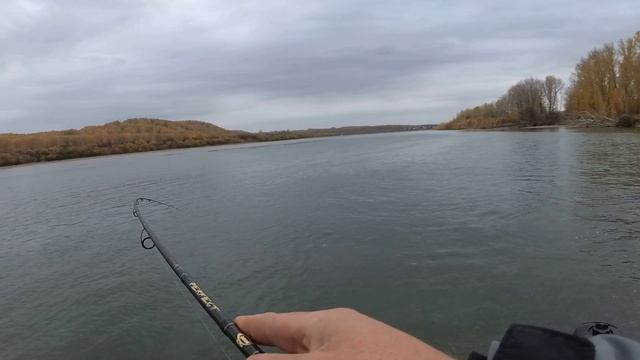 ПОКЛЁВКА КРАСНО-КНИЖНОЙ РЫБЫ ! смотреть онлайн