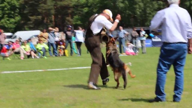 Зависть богов экхольм лобовая смотреть онлайн