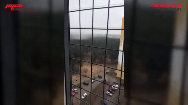 Решетки Антикошка смотреть онлайн