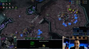 Старкрафт 2 - Зерги Гайд - Шаг 9 - vs Zerg , гайд ЗвЗ !