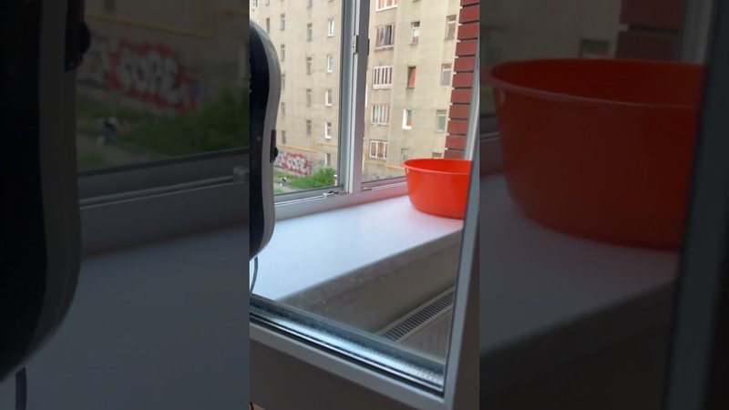 Мою окна