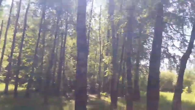 ОТКЛЮЧЕНИЕ ОТ ЭГРЕГОРА ( НА ПРИМЕРЕ Т.Н. "ХРИСТИАНСКОГО" , "ПРАВОСЛАВНОГО" РПЦ )