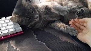 Что хочу -не знаю, но хочу!