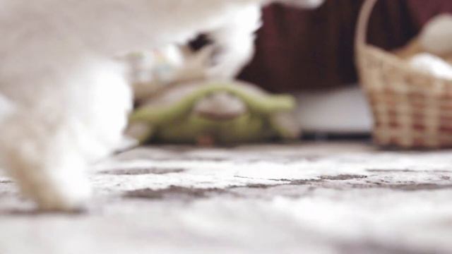 Озорные белые 3 смотреть онлайн