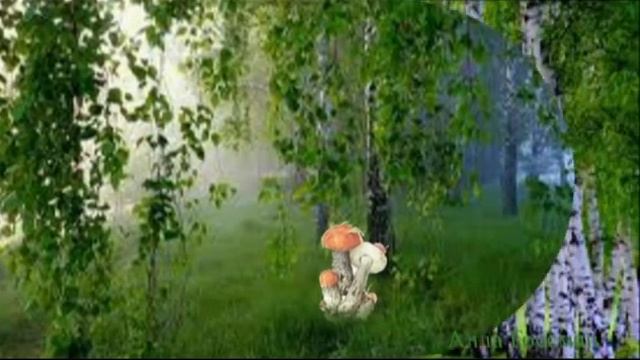 Березка - символ России смотреть онлайн