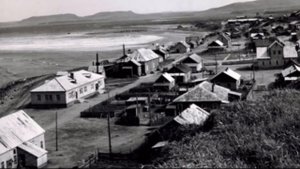 Почему в начале прошлого века в деревнях не было ни травы, ни деревьев