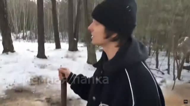 НЮХАЙ БЕБРУ - подборка мемов #3 смотреть онлайн