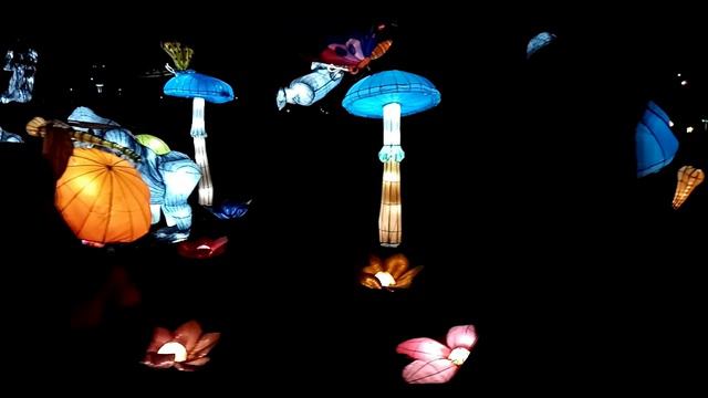 Tallinn festival of light - Dreamland / Valgusfestival - Võlumaa / Фестиваль фонарей - Страна света