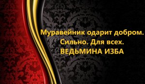 МУРАВЕЙНИК ОДАРИТ ДОБРОМ. СИЛЬНЫЙ РИТУАЛ. ДЛЯ ВСЕХ..АВТОР: ИНГА ХОСРОЕВА