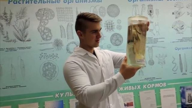 Промышленное рыбоводство