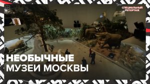 Необычные естественно-научные музеи Москвы — Москва 24 | Контент