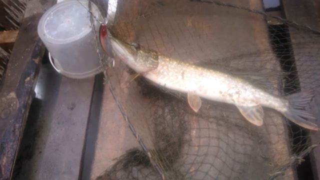 Унжа. Щучка смотреть онлайн