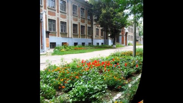 МБОУ СОШ №10, г. Ногинск смотреть онлайн