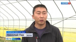 Тепличный городок в районе имени Лазо поможет обеспечить продовольственную безопасность края