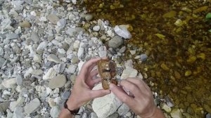 ЧТО МОЖНО НАЙТИ В РЕКЕ С МЕТАЛЛОИСКАТЕЛЕМ? Equinox 600 Коп 2021