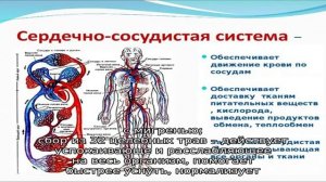 Особенности бессонницы при ВСД и методы ее устранения