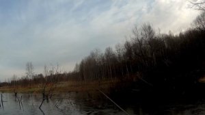 Спиннинг Graphiteleader Corto 18 GCRTS-612L-HS. Первые впечатления. Ловля окуня в ноябре 2019.