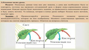 Разбор урока по биологии для 5 класса по теме "Жизнедеятельность организмов"