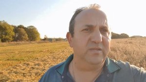 Уборка овса  Рожь озимая под покровом овса