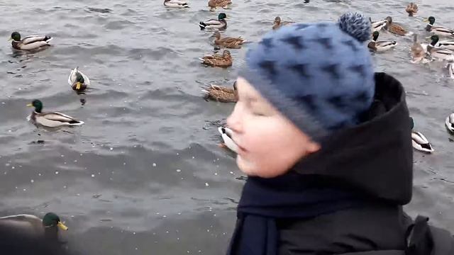 Я сегодня был в екатерининском парке смотреть онлайн