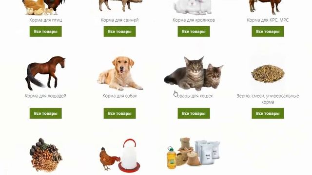 Аудит сайта по продаже кормов для животных смотреть онлайн