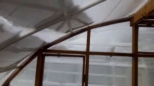 Светлица пленка зима