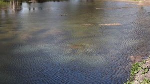 Парк в селе Подольхи. Исток реки Северский Донец.