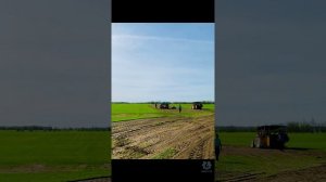 Доставка 3 паллетов рулонного газона манипулятором в Снт Ладожец