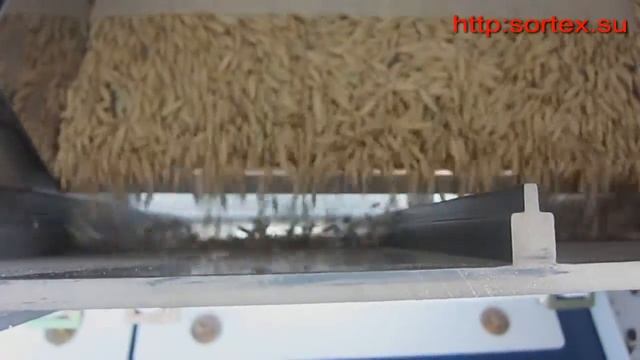 Сортировка овса от овсюга на фотосепараторе Фокус смотреть онлайн