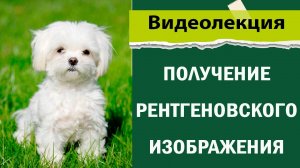 Устройство и принцип работы рентгеновского аппарата. Получение рентгеновского изображения.