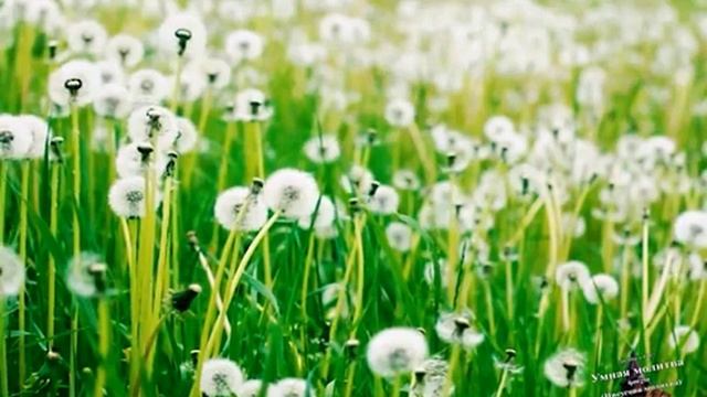 Смирение святых.mp4 смотреть онлайн