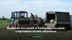 Звериная посевная в Хабаровском крае стартовала позже обычного