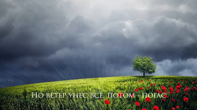 [Duncan Laurence - Arcade] Гитарный Кавер на Русском смотреть онлайн