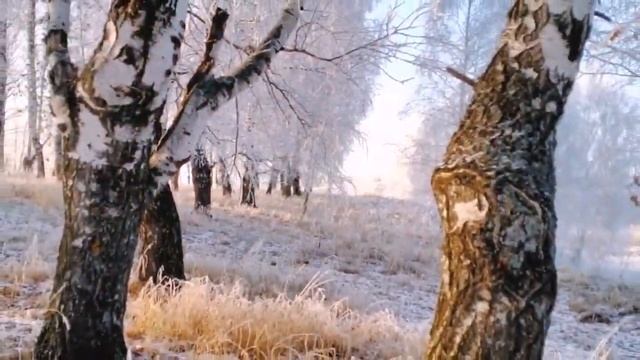 ПЕРВЫЙ СНЕГ ВЕЛИКОЛЕПНАЯ МУЗЫКА ДЛЯ ДУШИ КОМПОЗИТОР ВАДИМ ГУРЬЕВ смотреть онлайн