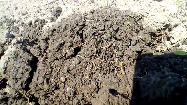 Весенний #коп смотреть онлайн