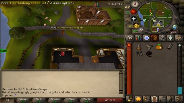 OSRS - Sheep Herder Quest Guide - Free Quest Points смотреть онлайн