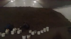 Где можно купить  сорта картофеля Розара, Гала, Каратоп???