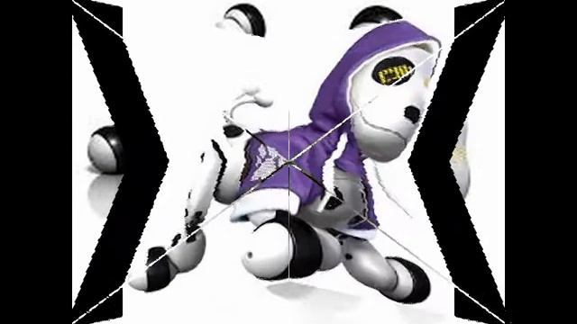 Собака zoomer далматинец смотреть онлайн