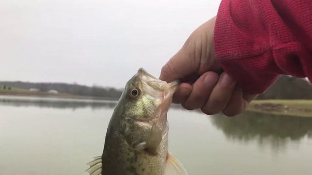 Bass Fishing Elizabethtown | Valley Creek смотреть онлайн