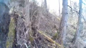 Весенний поход в лес