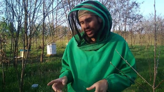 Роение пчел.Первые признаки