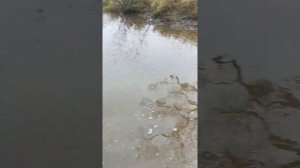 хавал ф7х на бездорожье переезжает речку