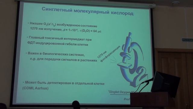 Куимова М.К. Флюоресцентные молекулярные роторы смотреть онлайн