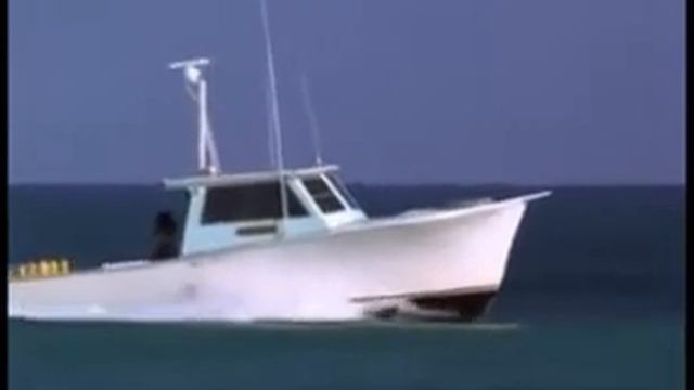 Спасение собачки😇 смотреть онлайн