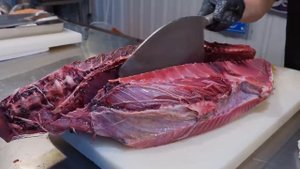 Самый острый в мире нож для тунца! Превосходное умение разделывать желтоперого тунца, роскошные суши